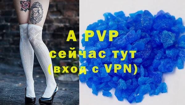 стафф Арсеньев