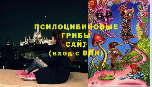 ALPHA-PVP Армянск