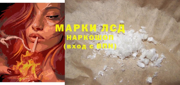 стафф Арсеньев