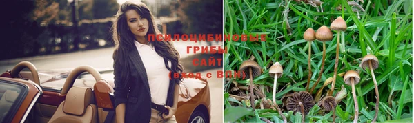 мескалин Аркадак