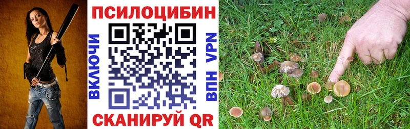 Галлюциногенные грибы GOLDEN TEACHER  Ртищево 