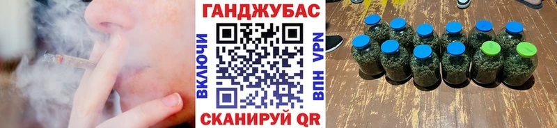 купить наркотик  Ртищево  Конопля сатива 